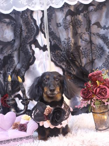 20231018ハルちゃん